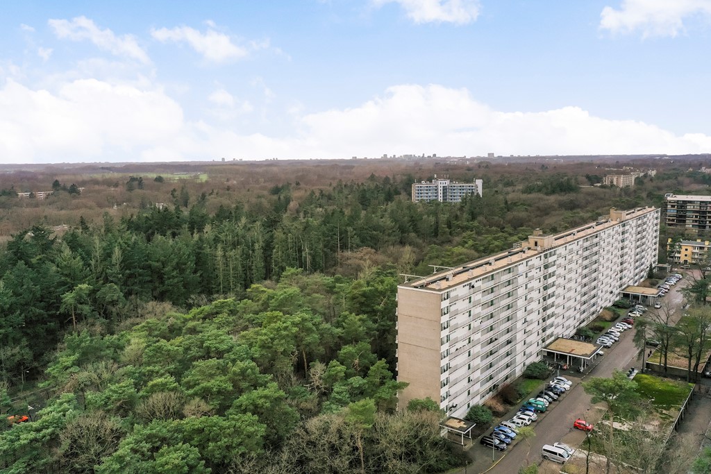 Anna Paulownalaan 172_45.jpg